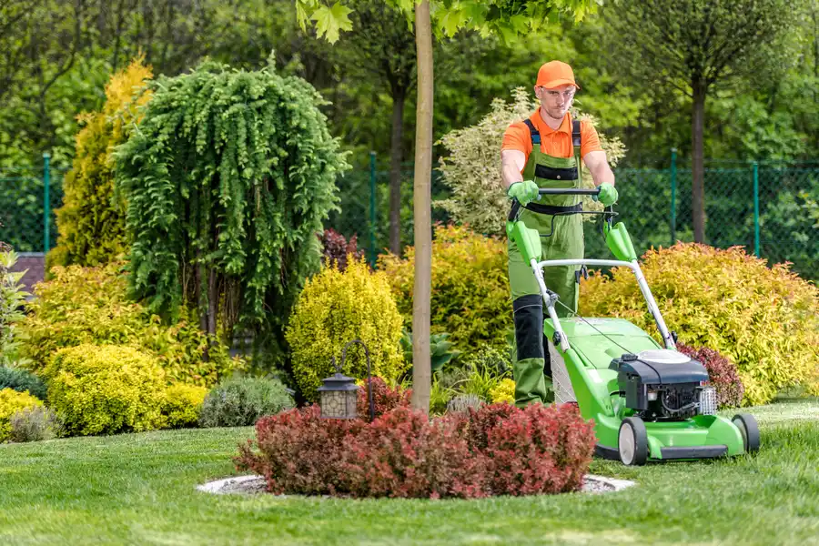 General Yard Cutting