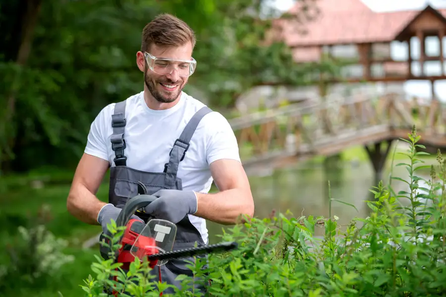 Shrub Maintenance